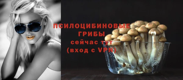 марки lsd Переславль-Залесский
