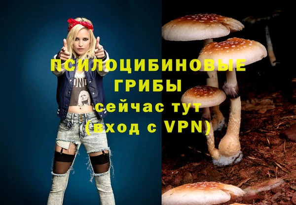 прущие крисы Валуйки