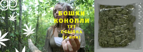 jwh Пересвет