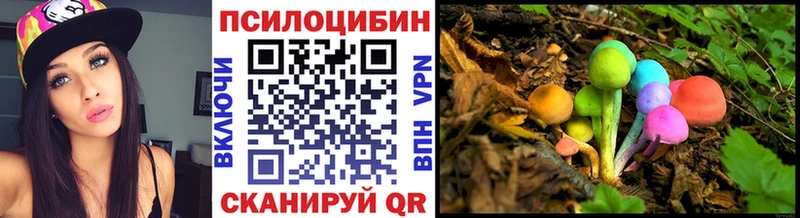 Псилоцибиновые грибы Cubensis  Юхнов 